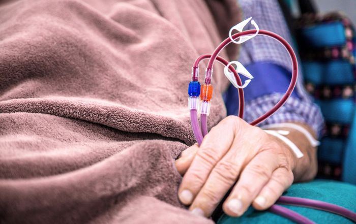 La comorbilidad y la desnutrición los predictores de mortalidad