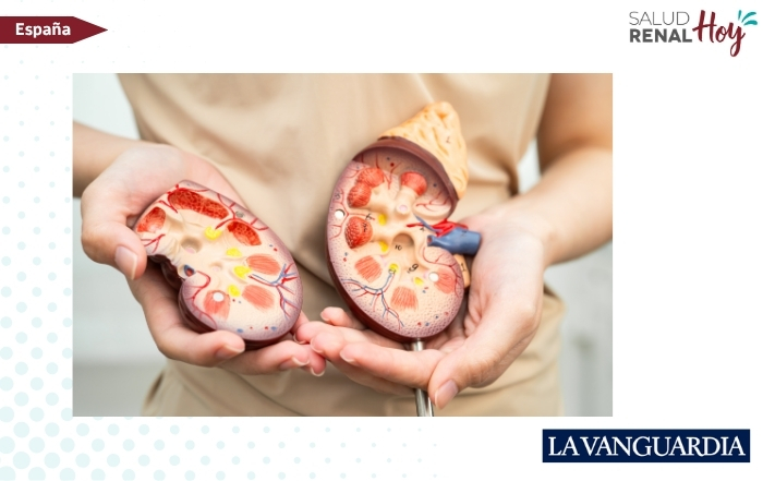 La Vanguardia: Más de 1.200 pacientes renales hiperinmunizados trasplantados gracias al Programa Pathi