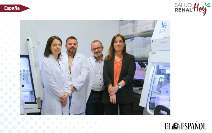 El Español: Investigadores españoles trasplantan por primera vez riñones de cerdo modificados con células madre humanas
