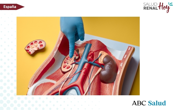 ABC: Enfermedad Renal Crónica: detección precoz, clave de vida