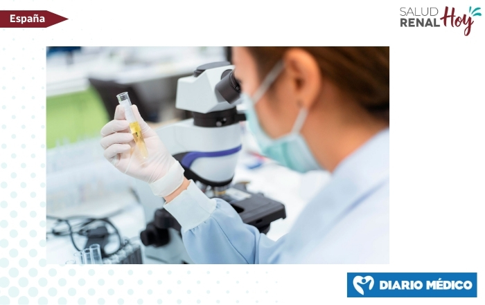 Diario Médico: España se prepara para un cribado renal en 2026