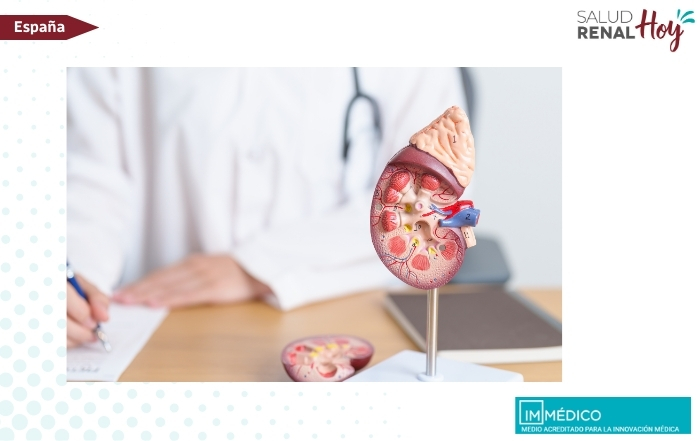 IMMEDICO: Vínculo entre la enfermedad renal y el deterioro cognitivo