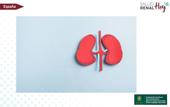 ALCER: Guía Web de generación de conocimiento y buenas prácticas para personas con enfermedad renal y familiares