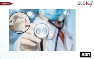 ADN: El probiótico que la ciencia estudia por su relación con la salud de los riñones