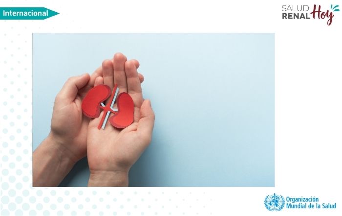 OMS: La ONU reconoce por primera vez la enfermedad renal como parte de la agenda global de enfermedades no transmisibles