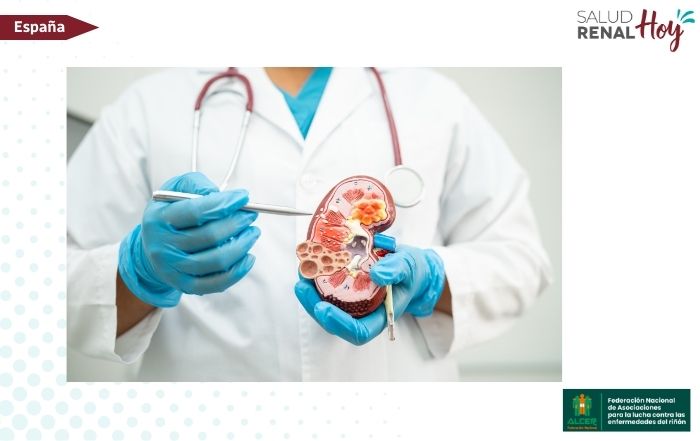 ALCER: AIRG-España celebrará en Madrid su 21ª Jornada Anual sobre Enfermedades Renales Genéticas