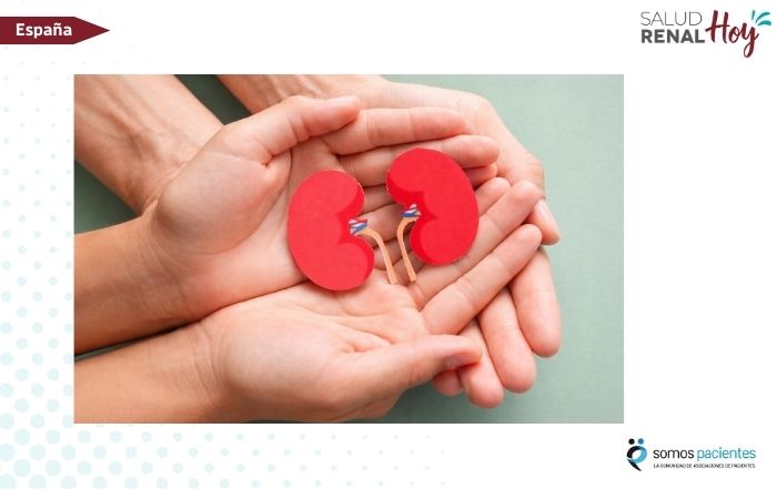 Somos Pacientes: Cerca del 30% de la población presenta algún grado de enfermedad renal