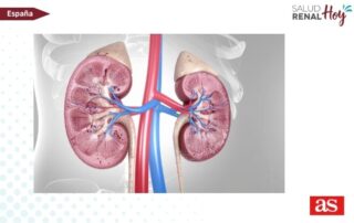 Diario AS: “Si bebemos menos de litro y medio de agua, el riñón se puede deshidratar y podemos sufrir mucho”