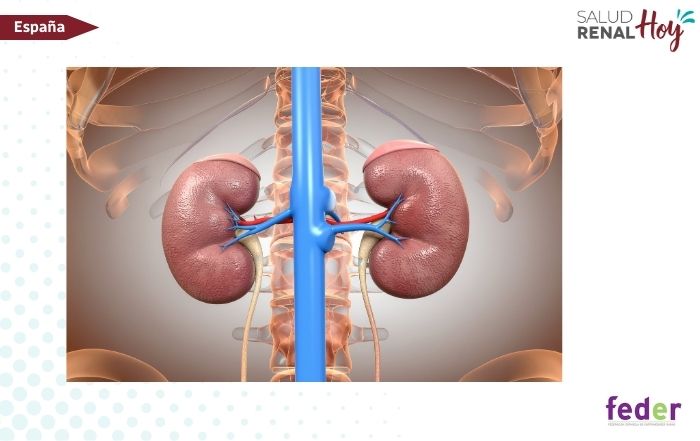 FEDER: Siete nuevas patologías en el procedimiento de jubilación anticipada