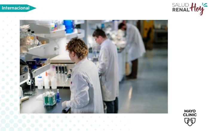Mayo Clinic: Edición genética para revertir una enfermedad renal hereditaria en un estudio preclínico