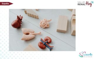 La Web de la Salud: ¿Nuevo paradigma para la prevención cardiovascular y renal?