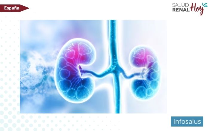 Infosalus: Sanidad espera llevar un documento con recomendaciones sobre enfermedad renal crónica