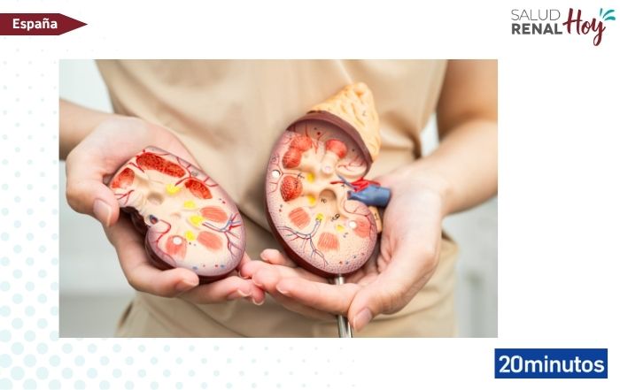 20 Minutos: Una donación altruista inicia una cadena nacional de trasplantes de riñón