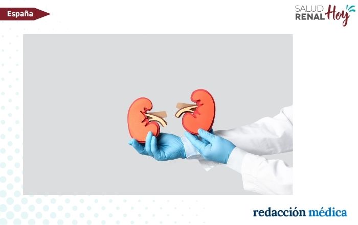 Redacción Médica: El plan sobre enfermedad renal crónica pone el foco en prevención y equidad Redacción Médica: El plan sobre enfermedad renal crónica pone el foco en prevención y equidad