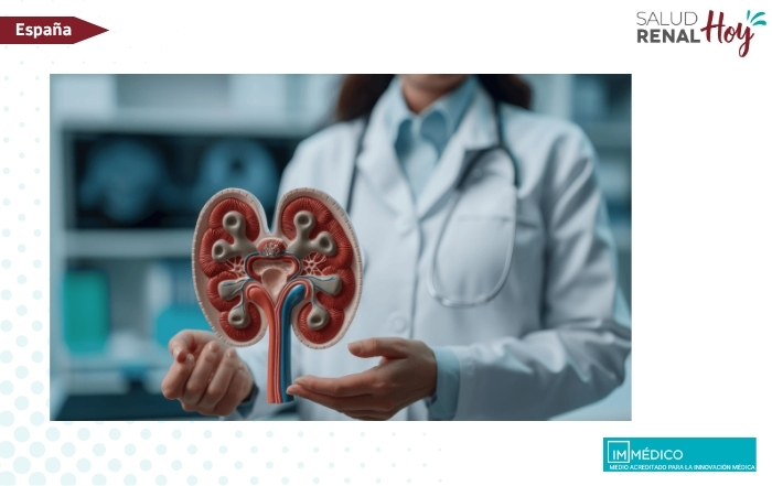 IMMEDICO: La detección precoz puede retrasar hasta 20 años la necesidad de diálisis o trasplante renal