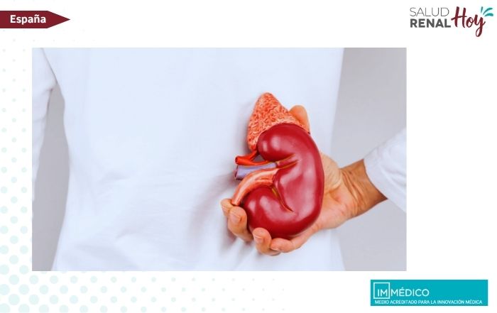 IMMÉDICO: El riesgo cardiovascular dispara la mortalidad en trasplantados renales con diabetes IMMÉDICO: El riesgo cardiovascular dispara la mortalidad en trasplantados renales con diabetes