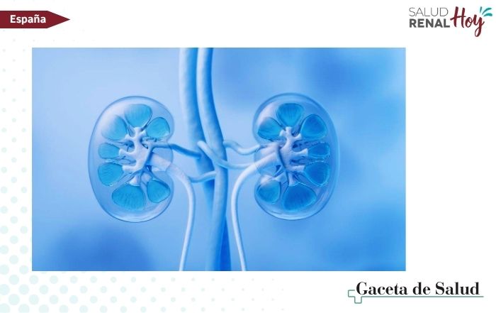 Gaceta de Salud: Identifican un impulsor clave de la enfermedad renal crónica que afecta a más del 10% de la población mundial