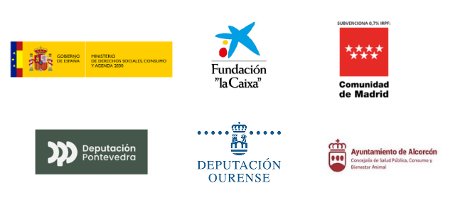Logos Memoria 2025
