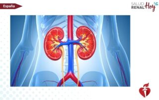 American Heart Association: Primera guía sobre el síndrome cardiovascular-renal-metabólico