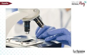 La Opinión de Zamora: Investigadores de Castilla y León exploran el potencial de la orina para anticipar el daño renal y personalizar tratamientos La Opinión de Zamora: Investigadores de Castilla y León exploran el potencial de la orina para anticipar el daño renal y personalizar tratamientos