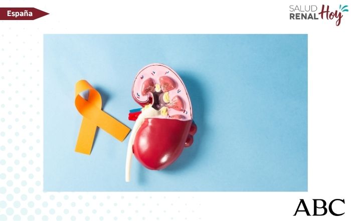 ABC: Cáncer renal: la inmunoterapia abre la era del largo superviviente ABC: Cáncer renal: la inmunoterapia abre la era del largo superviviente