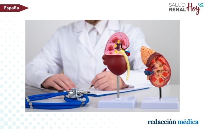 Redacción Médica: El 40% de trasplantes renales de donante vivo se realiza en una comunidad