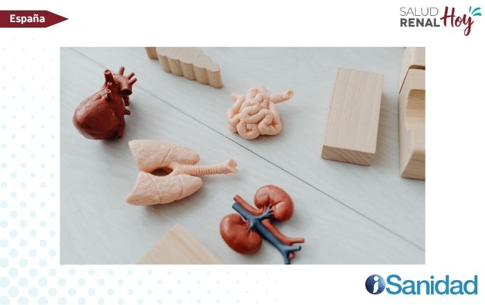iSanidad: Atención primaria impulsa el abordaje precoz del síndrome cardio, renal, hepático y metabólico