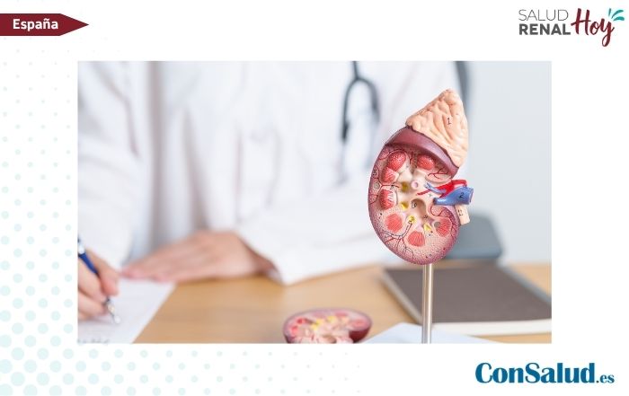 ConSalud.es: Así refuerza el Hospital Universitario de Torrejón la atención al paciente renal desde la Atención Primaria