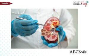 ABC Sevilla: Extirpan un tumor renal raro de 17 centímetros en un hospital de Sevilla