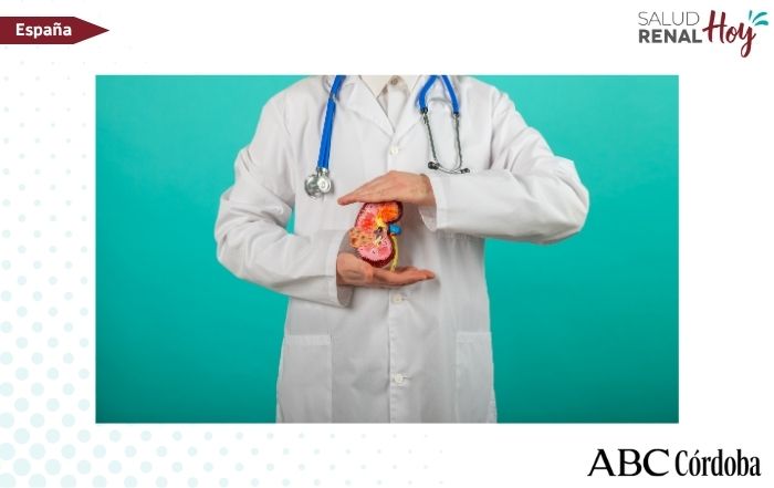 ABC Córdoba: El hospital Reina Sofía de Córdoba estrena el trasplante renal de donante vivo con robot