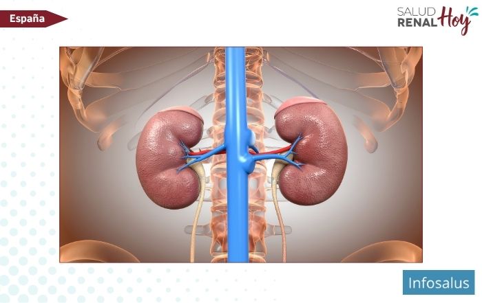 Infosalus: Fármaco dirigido contra la hipoxia tras la cirugía mejora su control en cáncer renal