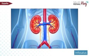 Infosalus: El trasplante de mitocondrias reduce el daño cardíaco y renal tras un infarto Infosalus: El trasplante de mitocondrias reduce el daño cardíaco y renal tras un infarto