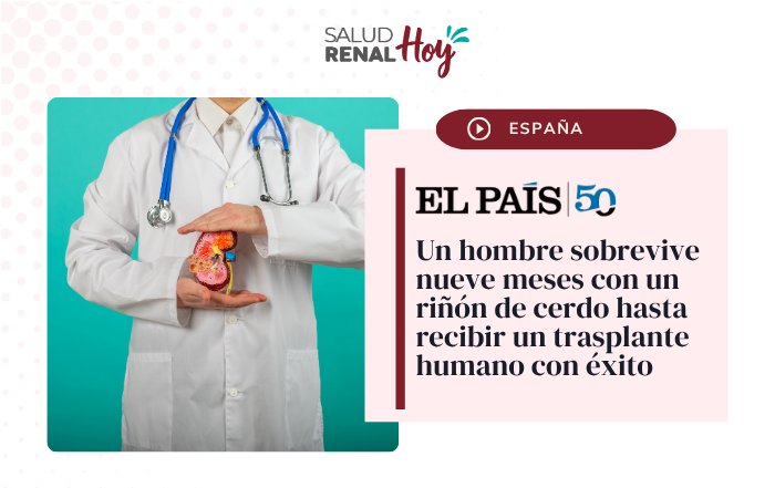 El País: Un hombre sobrevive nueve meses con un riñón de cerdo hasta recibir un trasplante humano con éxito