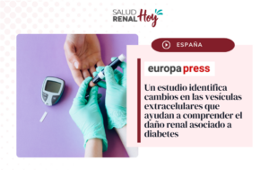 EuropaPress: Cambios en las vesículas extracelulares que ayudan a comprender el daño renal asociado a diabetes EuropaPress: Cambios en las vesículas extracelulares que ayudan a comprender el daño renal asociado a diabetes