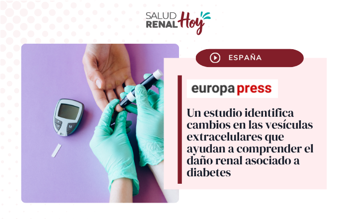 EuropaPress: Cambios en las vesículas extracelulares que ayudan a comprender el daño renal asociado a diabetes