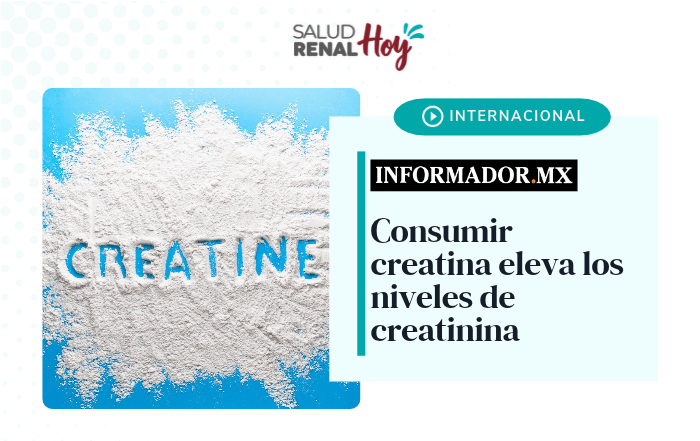Informador.MX: Consumir creatina eleva los niveles de creatinina Informador.MX: Consumir creatina eleva los niveles de creatinina